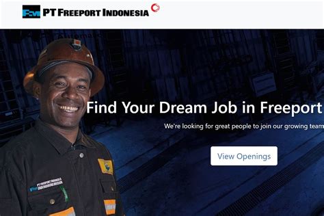 Freeport Buka 44 Lowongan Kerja Khusus Fresh Graduate, Cek .